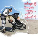 sport buggy with liner